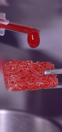 Biomaterial e TCO